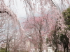 img0120.jpg