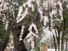 img0122.jpg