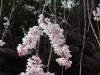 img0123.jpg