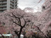 img0125.jpg