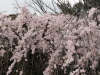 img0126.jpg