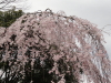img0127.jpg