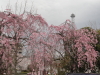 img0133.jpg