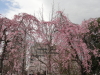 img0134.jpg
