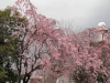 img0135.jpg