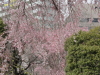 img0136.jpg