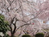 img0138.jpg