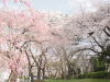 img0140.jpg