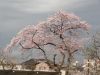 img0141.jpg