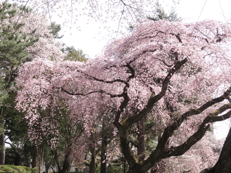 img0020.jpg