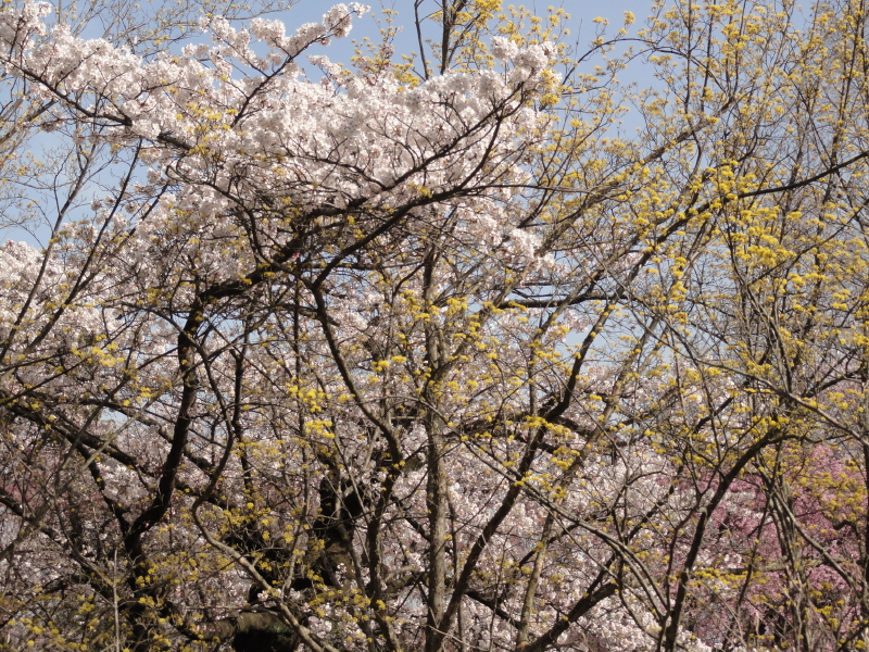 img0041.jpg