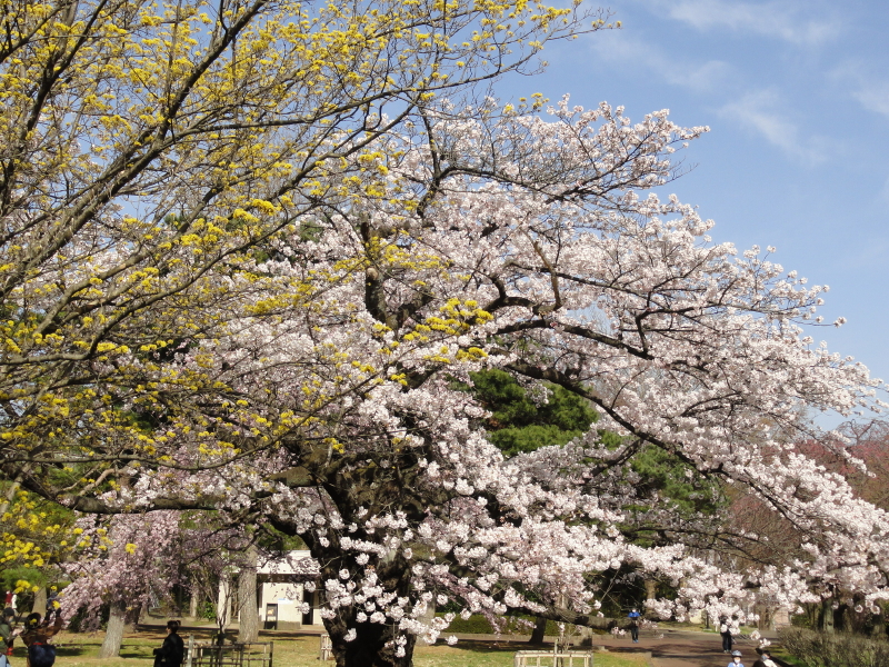 img0043.jpg
