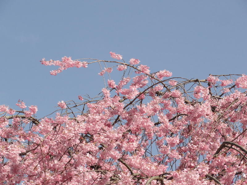 img0049.jpg