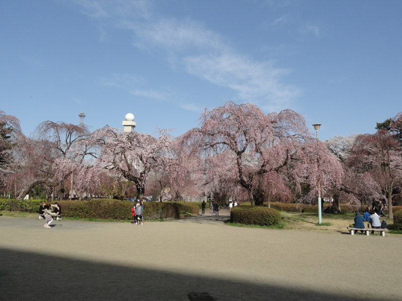 img0060.jpg