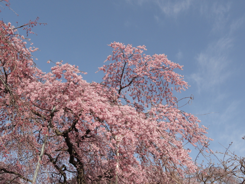 img0090.jpg