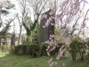 img0001.jpg