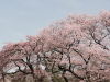 img0007.jpg