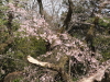 img0015.jpg