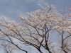 img0017.jpg