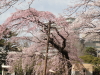 img0018.jpg
