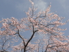 img0021.jpg