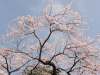 img0022.jpg