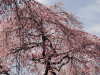 img0027.jpg