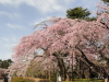 img0030.jpg