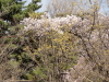img0040.jpg