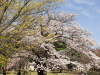 img0043.jpg