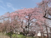img0048.jpg