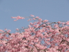 img0049.jpg