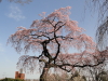 img0053.jpg