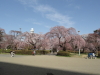 img0060.jpg