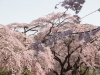 img0063.jpg