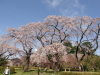 img0068.jpg
