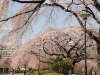 img0070.jpg