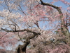 img0073.jpg