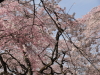 img0074.jpg
