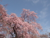 img0090.jpg