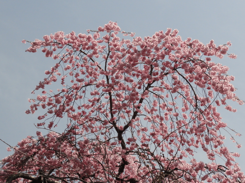 img0010.jpg