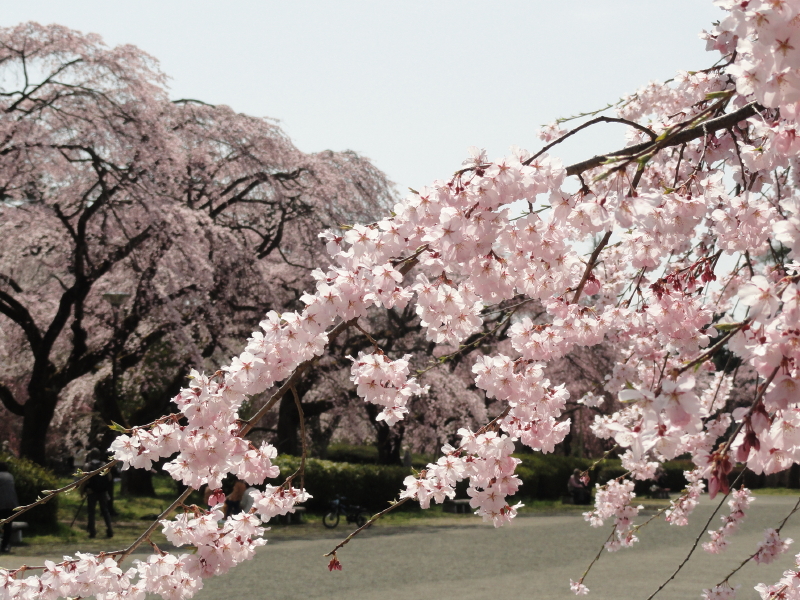 img0016.jpg