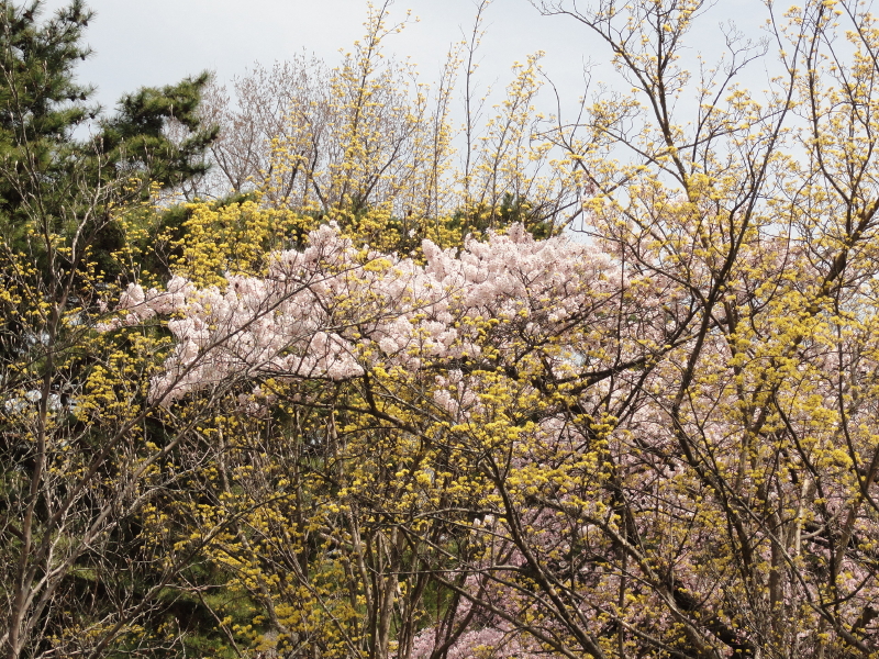 img0036.jpg