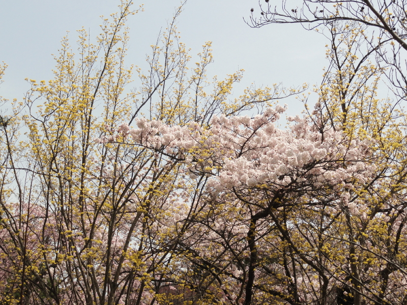 img0037.jpg