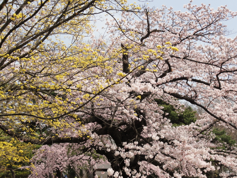 img0038.jpg