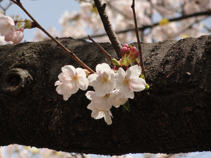 img0041.jpg