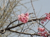 img0002.jpg