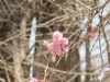 img0003.jpg