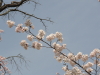 img0007.jpg