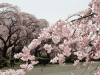 img0016.jpg